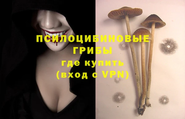 СК Кинешма