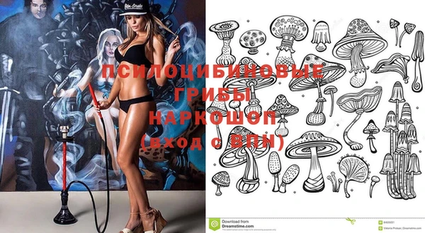 эйфоретик Киреевск