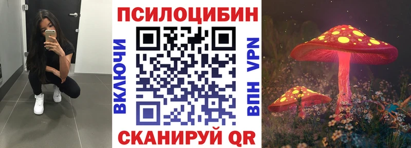 Псилоцибиновые грибы Psilocybe  Купить закладки  Ливны 